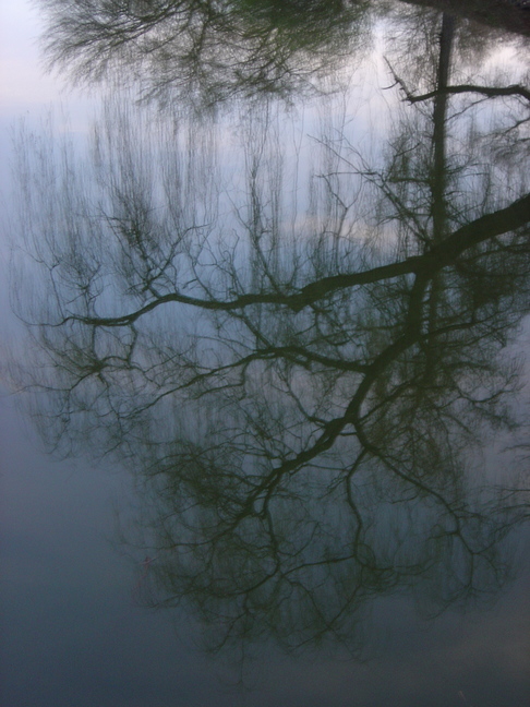 Mirroring